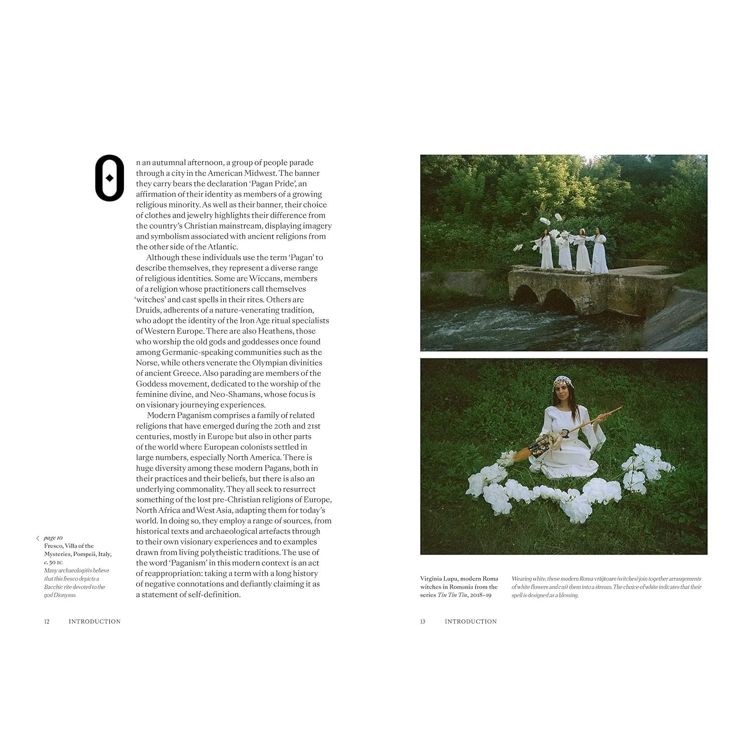 PAGANS: THE VISUAL CULTURE OF PAGAN MYTHS, LEGENDS, AND RITUALS BY ETHAN DOYLE WHITE - Image 3