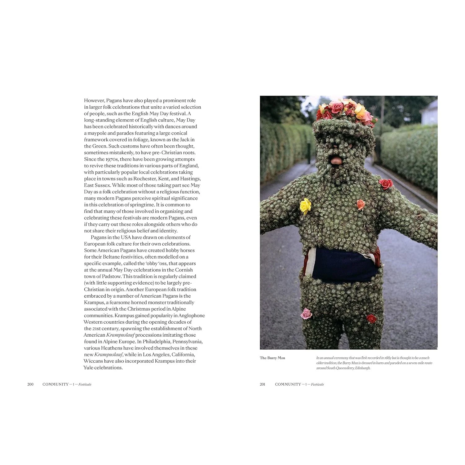 PAGANS: THE VISUAL CULTURE OF PAGAN MYTHS, LEGENDS, AND RITUALS BY ETHAN DOYLE WHITE - Image 4