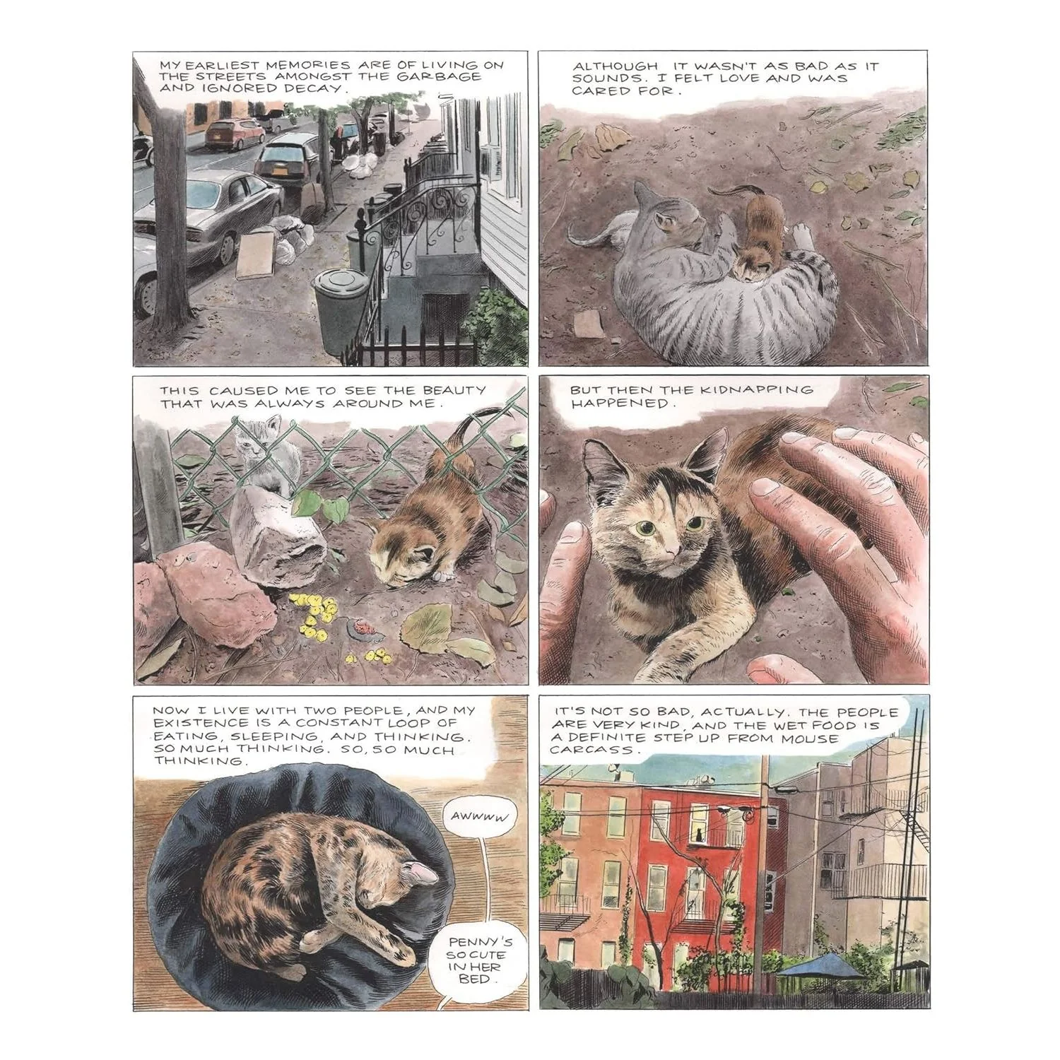 PENNY: A GRAPHIC MEMOIR BY KARL STEVENS - Image 2