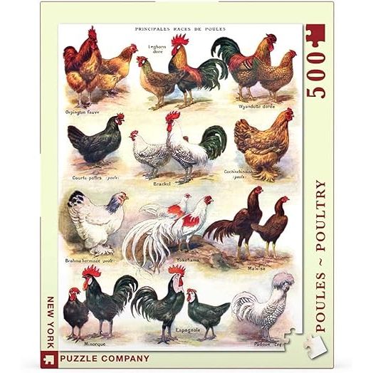 POULES-POULTRY 500PC PUZZLE - Image 2
