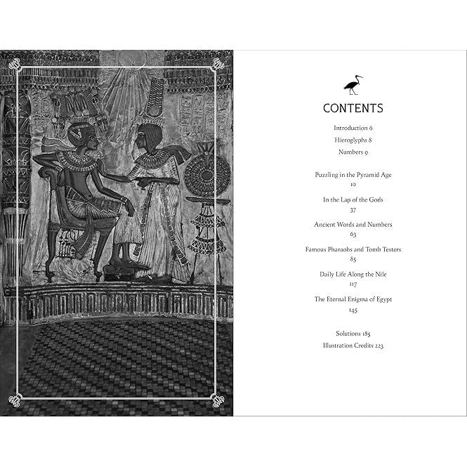 RIDDLE OF THE SPHINX: AN ANCIENT EGYPTIAN PUZZLE BOOK BY TREVOR NAYLOR - Image 2