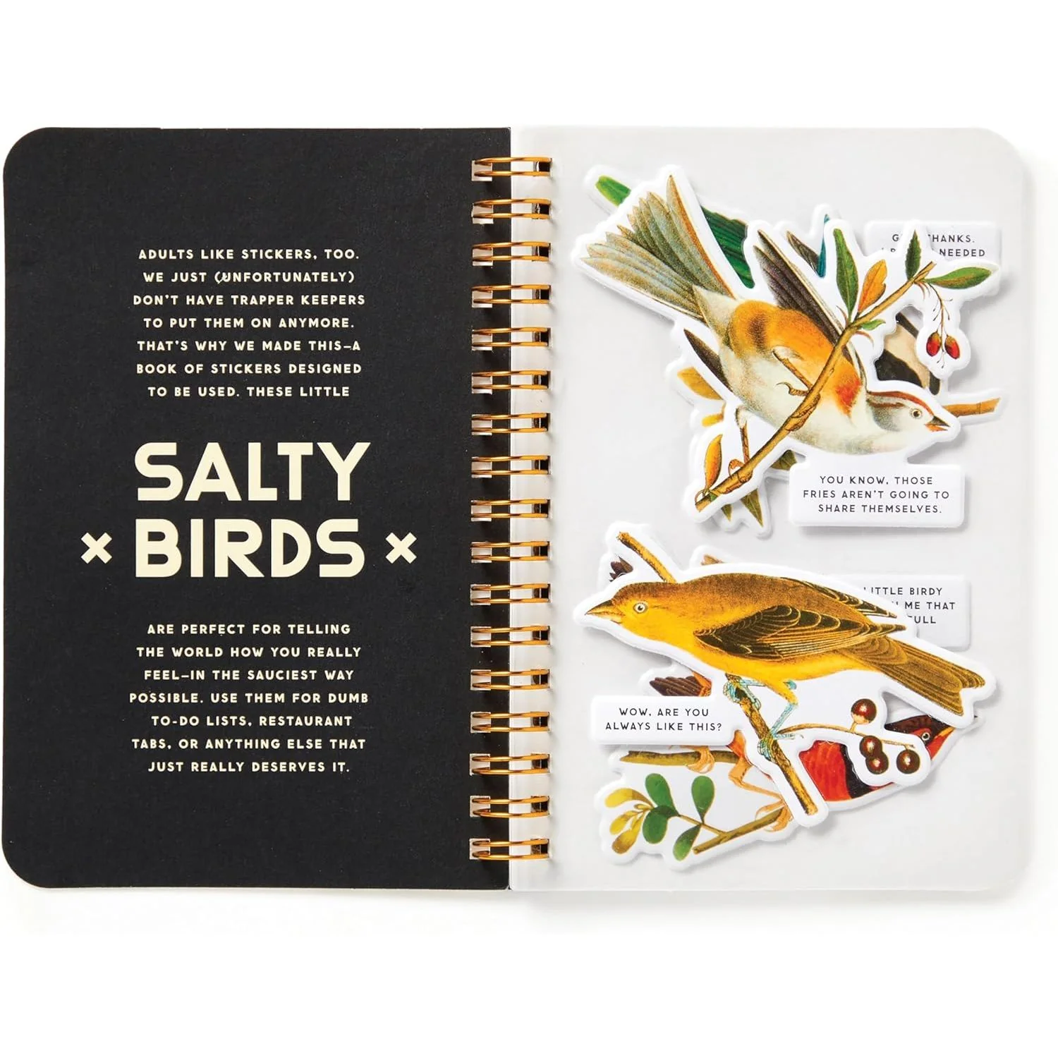 SALTY BIRDS STICKER BOOK - Image 2