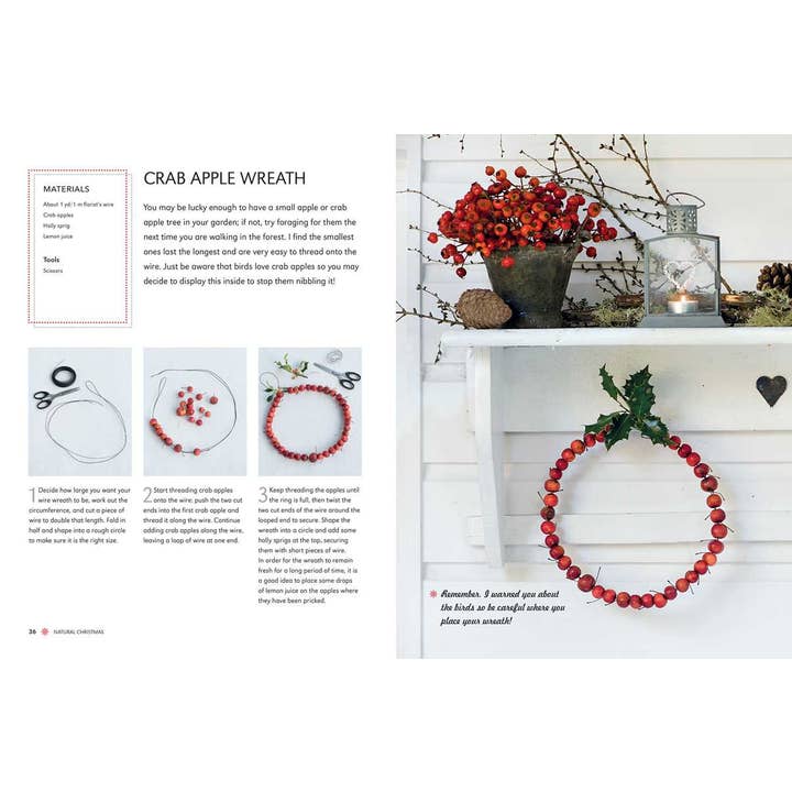 SCANDINAVIAN CHRISTMAS CRAFTS BY CHRISTIANE BELLSTEDT MYERS - Image 2