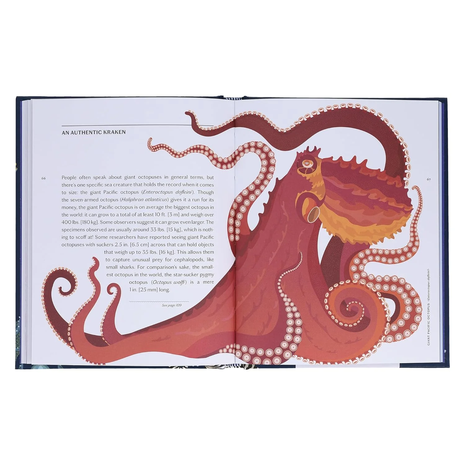SEA WONDERS: THE OCTOPUS, THE CUTTLEFISH, AND THE SQUID BY MARCO COLOUMBO & FRANCESCO TOMASINELLI WITH ILLUSTRATIONS BY GIULIA DE AMICIS - Image 2