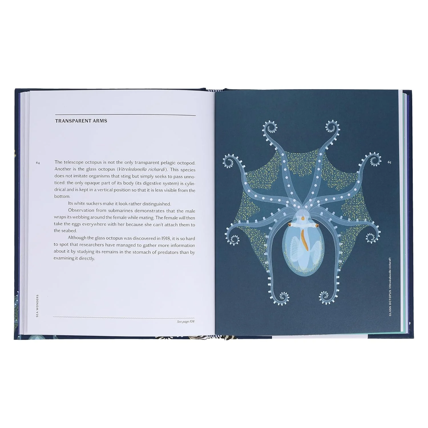 SEA WONDERS: THE OCTOPUS, THE CUTTLEFISH, AND THE SQUID BY MARCO COLOUMBO & FRANCESCO TOMASINELLI WITH ILLUSTRATIONS BY GIULIA DE AMICIS - Image 3