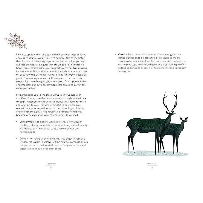 SELF-CARE FOR WINTER: SEVEN STEPS TO THRIVING IN THE COLDER MONTHS BY SUZY READING - Image 4