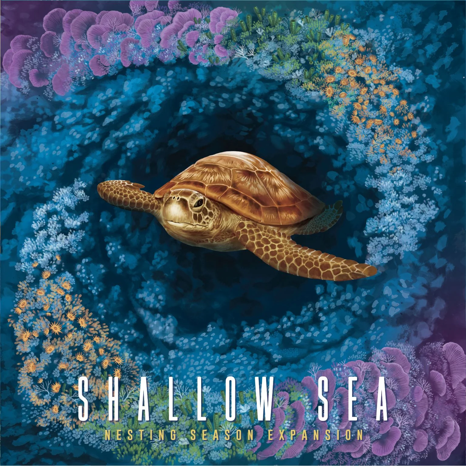 SHALLOW SEA NESTING SEASON EXPANSION