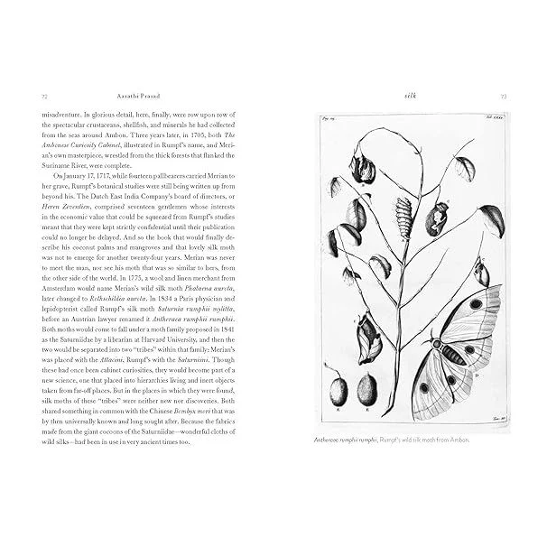 SILK: A WORLD HISTORY BY AARATHI PRASAD - Image 4