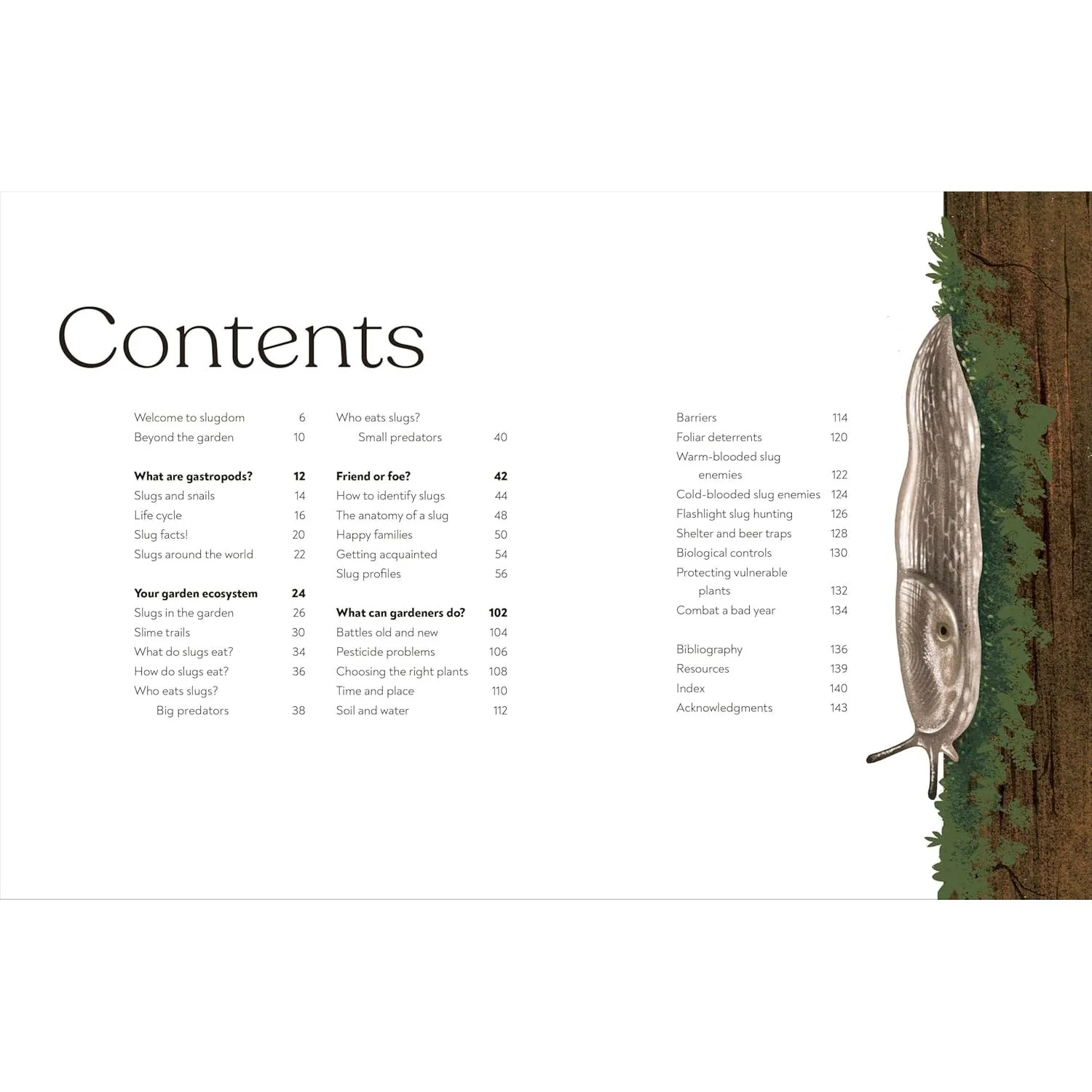SLUGS: FRIEND OR FOE? BY DR. HAYLEY JONES (DK BOOK) - Image 3