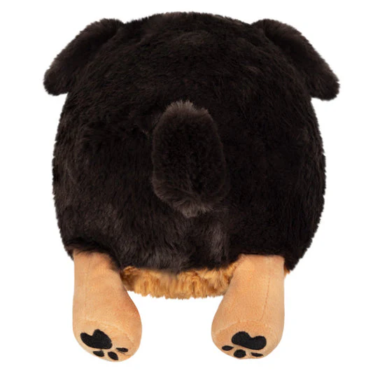 SQUISHABLE MINI FLUFFY DACHSHUND - Image 3