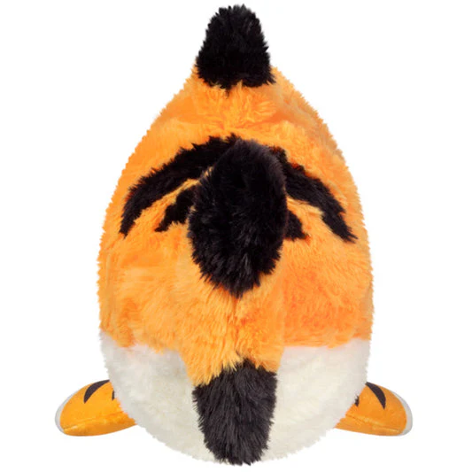 SQUISHABLE MINI TIGER SHARK - Image 3