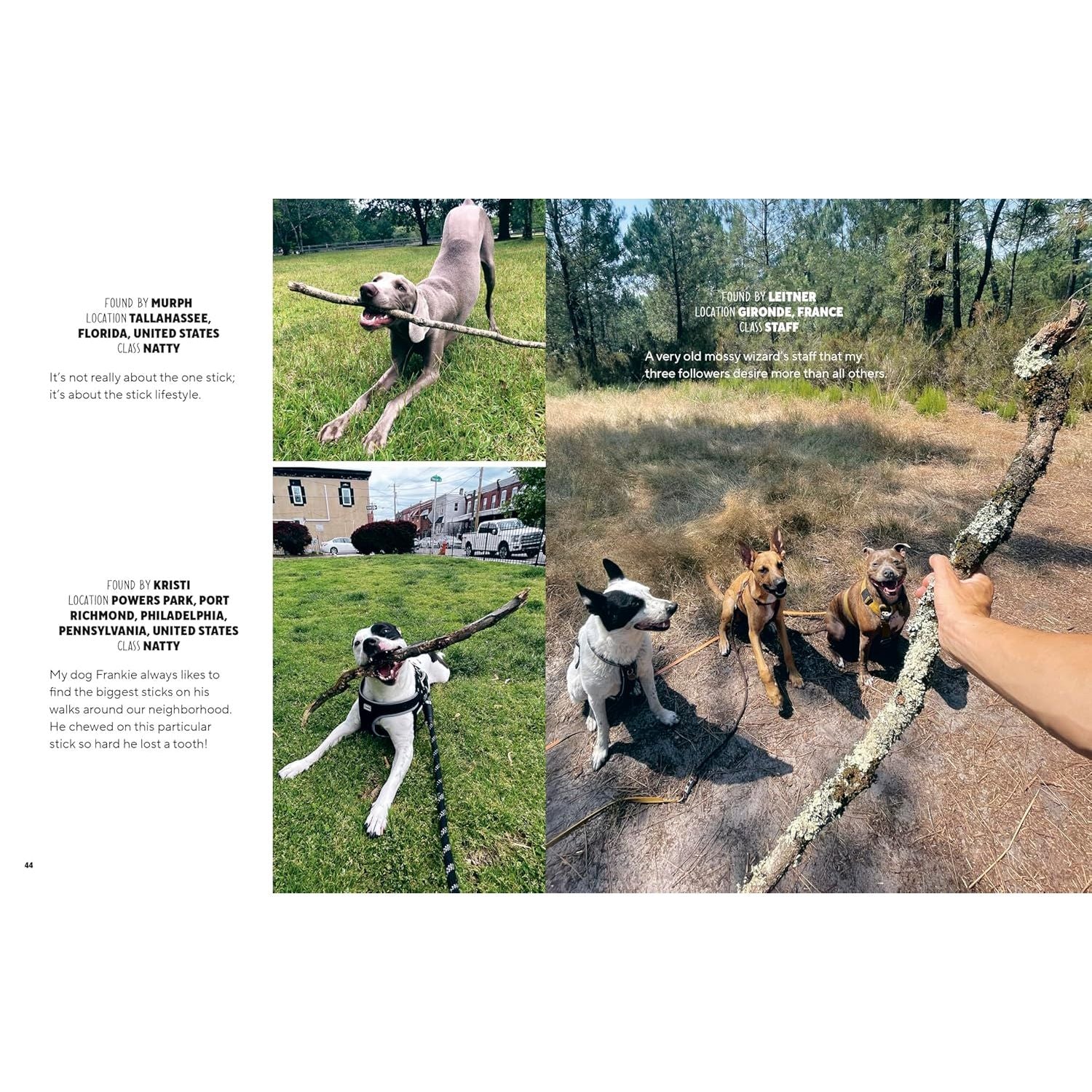 STICKS: A COLLECTION OF STICKS & THE PEOPLE WHO LOVE THEM, FROM THE FOUNDERS OF STICK NATION BY LOGAN JUGLER & BOONE HOGG - Image 4