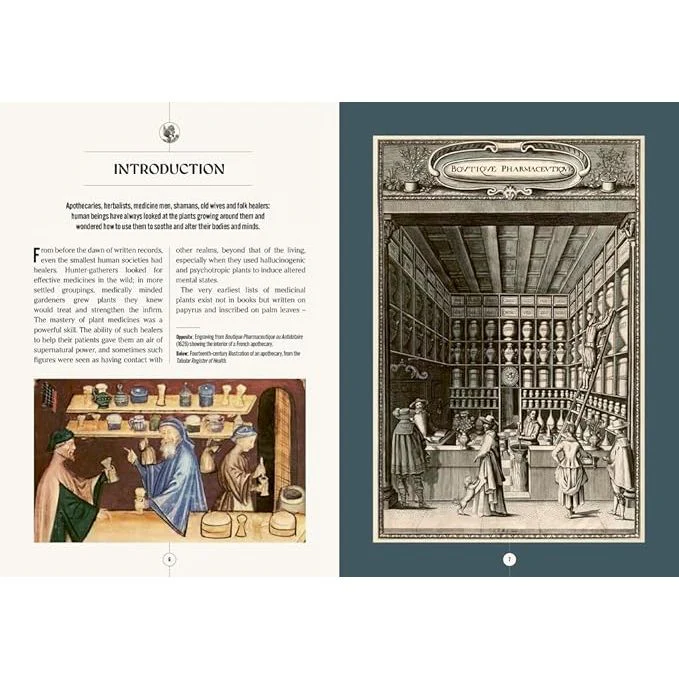 THE APOTHECARY'S GARDEN: THE SCIENCE AND MYTHOLOGY OF MEDICINAL PLANTS BY EMMA WAYLAND - Image 3