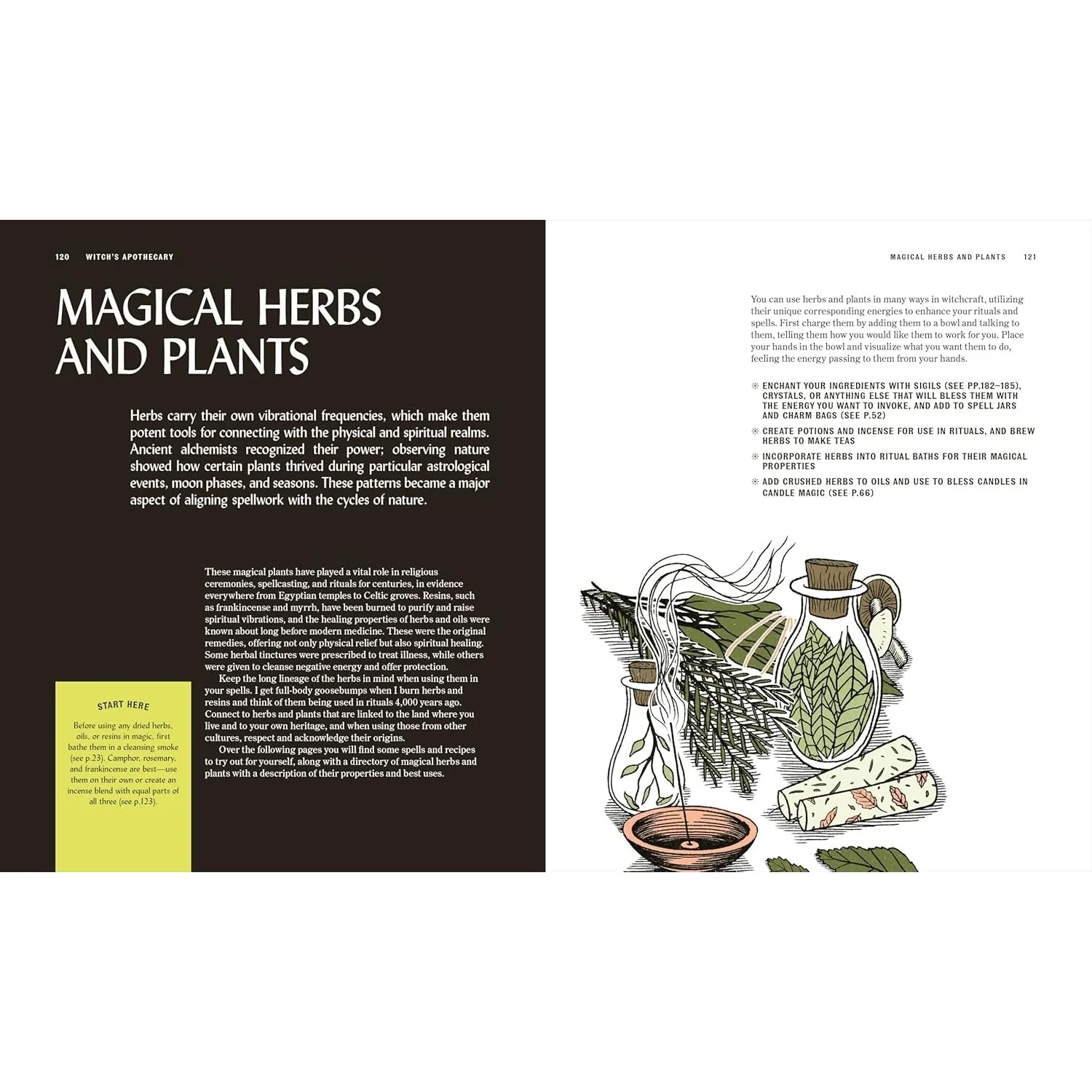 THE BOOK OF WITCHCRAFT BY SEMRA HAKSEVER (DK BOOK) - Image 4