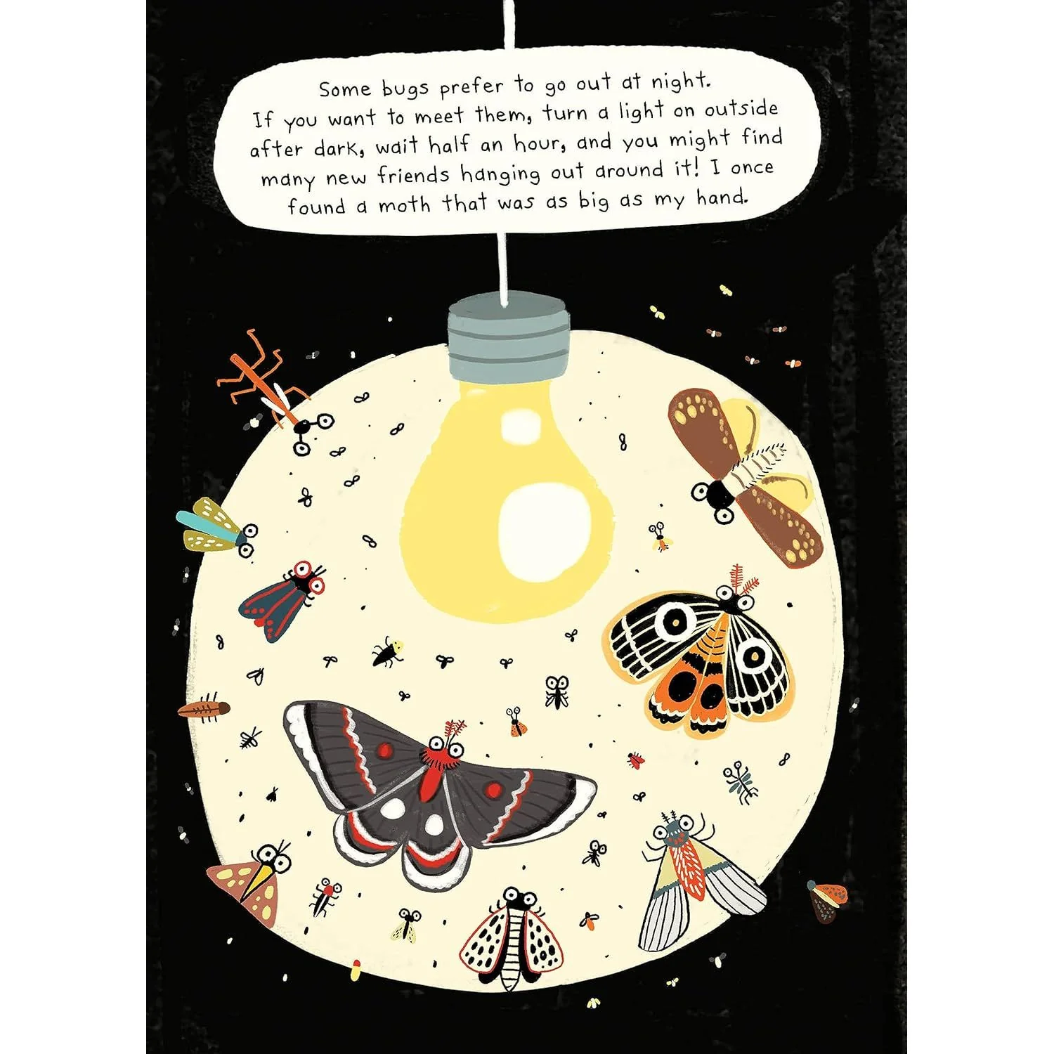 THE BUG CLUB BY ELISE GRAVEL - Image 5