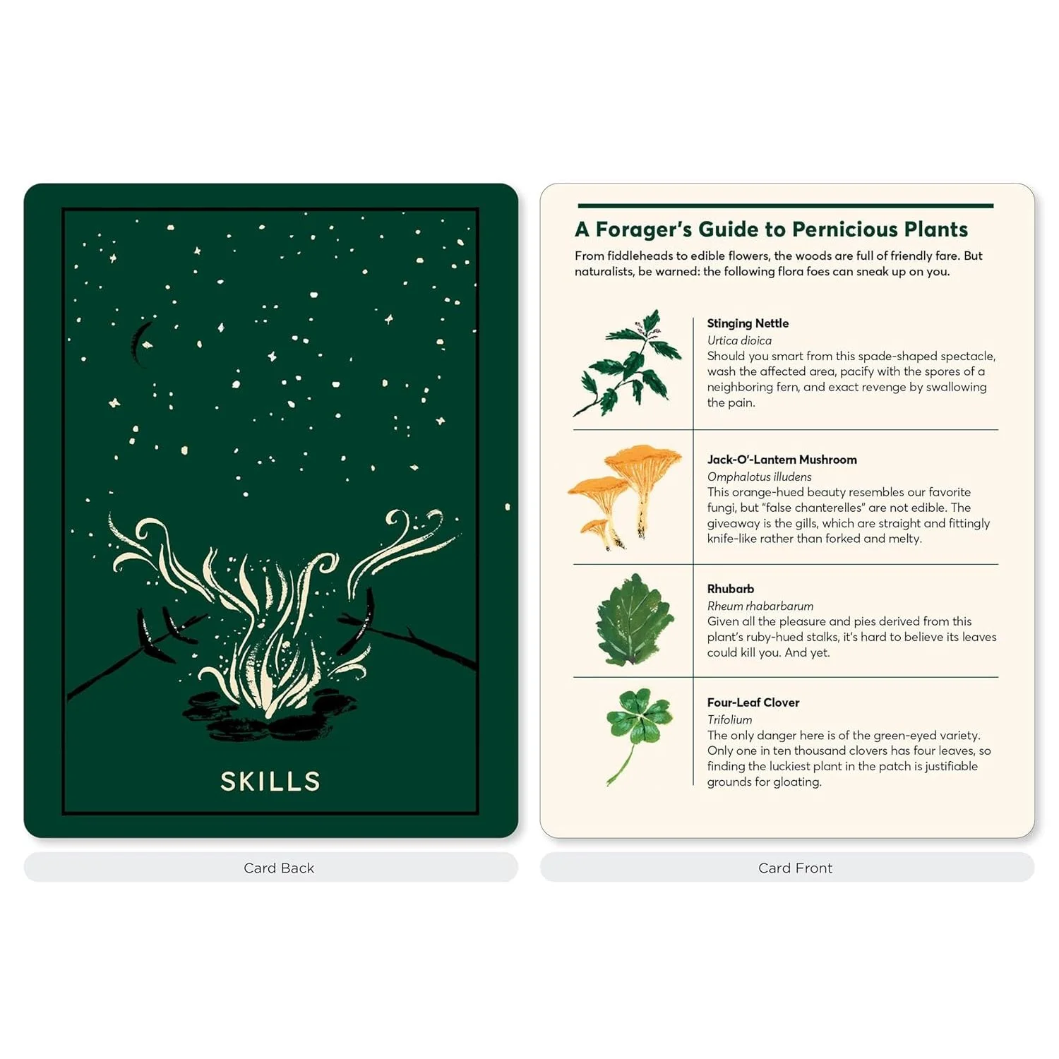 THE CAMPOUT CARD DECK: 50 CARDS TO ELEVATE YOUR OUTDOOR ADVENTURES - Image 3