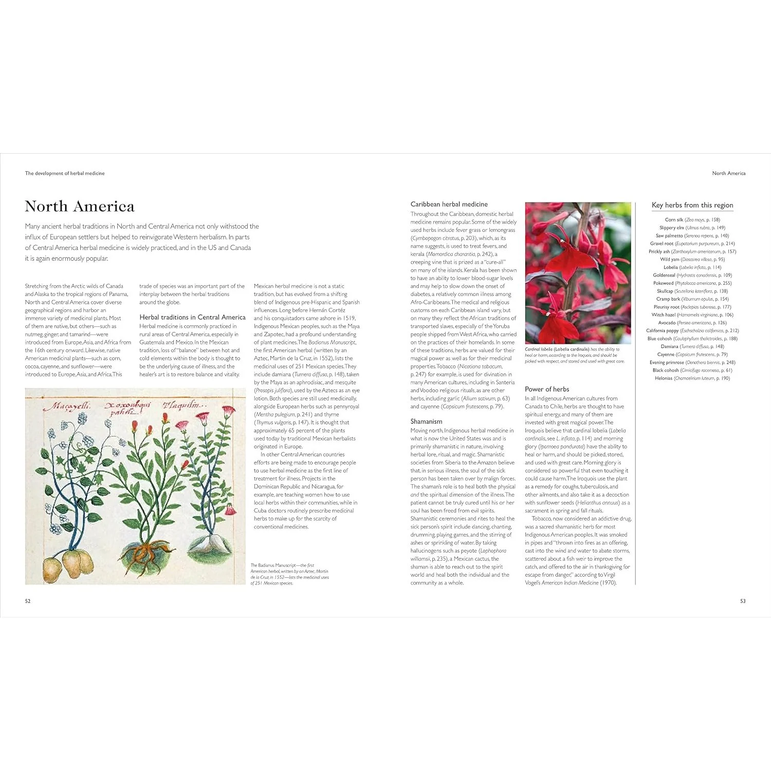 THE ENCYCLOPEDIA OF HERBAL MEDICINE BY ANDREW CHEVALLIER, FNIMH (DK BOOK) - Image 3