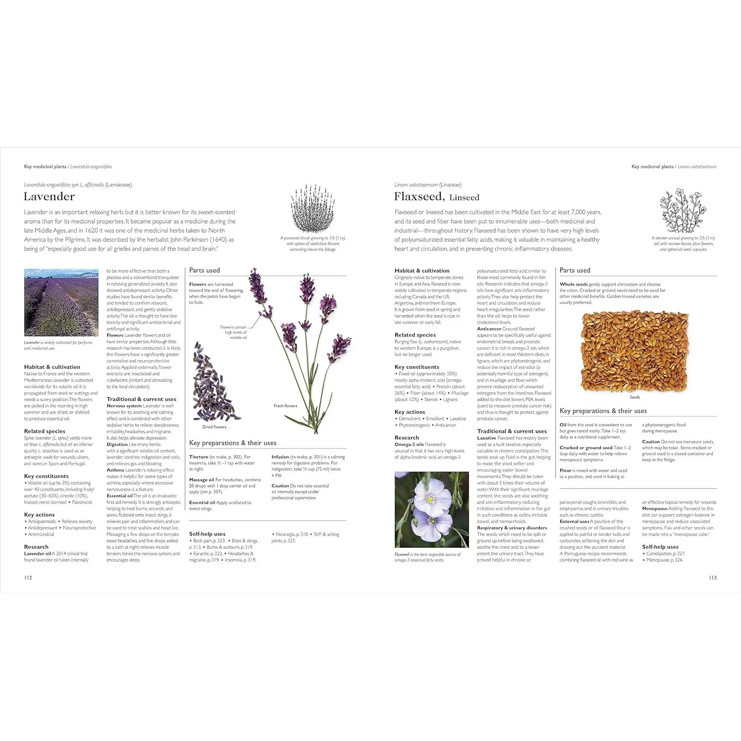 THE ENCYCLOPEDIA OF HERBAL MEDICINE BY ANDREW CHEVALLIER, FNIMH (DK BOOK) - Image 5