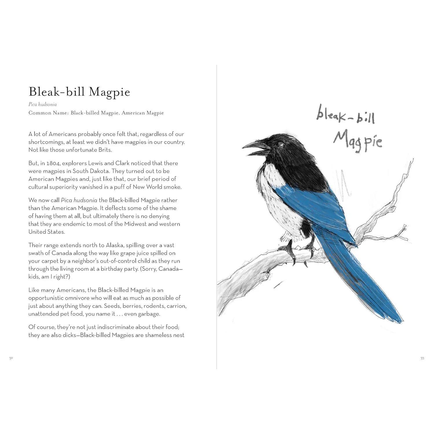THE FIELD GUIDE TO THE WORST BIRDS EVER BY MATT KRACHT - Image 2