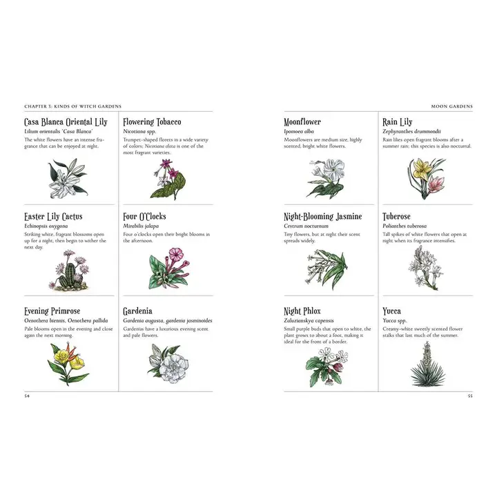THE GREEN WITCH'S GARDEN: YOUR COMPLETE GUIDE TO CREATING AND CULTIVATING A MAGICAL GARDEN SPACE BY ARIN MURPHY-HISCOCK - Image 3