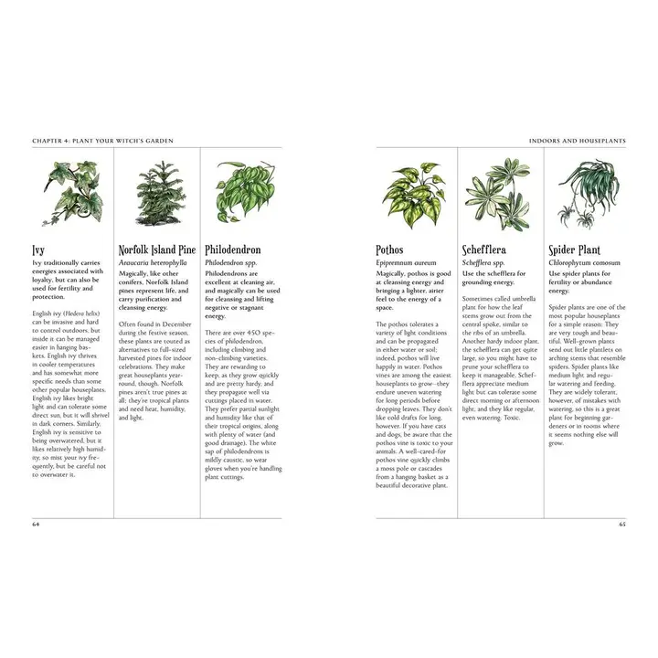 THE GREEN WITCH'S GARDEN: YOUR COMPLETE GUIDE TO CREATING AND CULTIVATING A MAGICAL GARDEN SPACE BY ARIN MURPHY-HISCOCK - Image 4