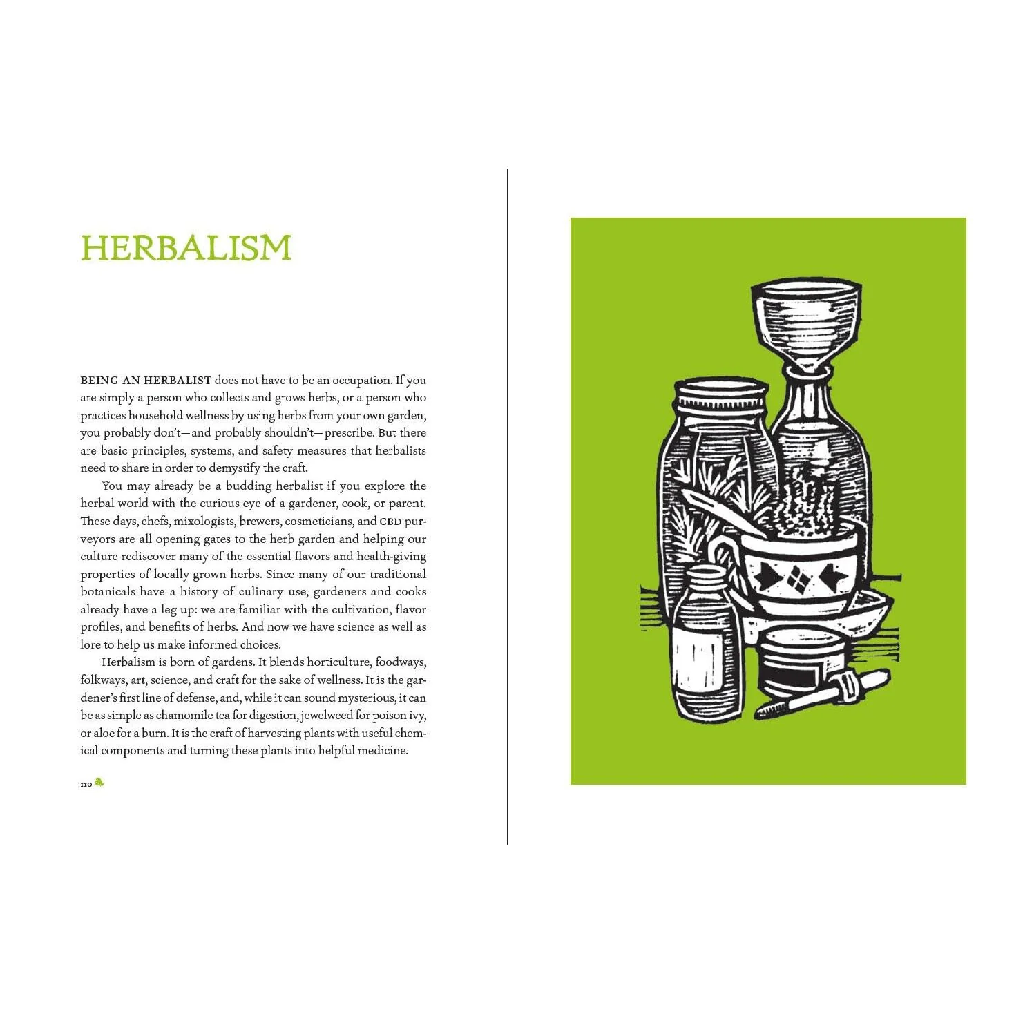 THE HEIRLOOM GARDENER: TRADITIONAL PLANTS & SKILLS FOR THE MODERN WORLD BY JOHN FORTI - Image 5