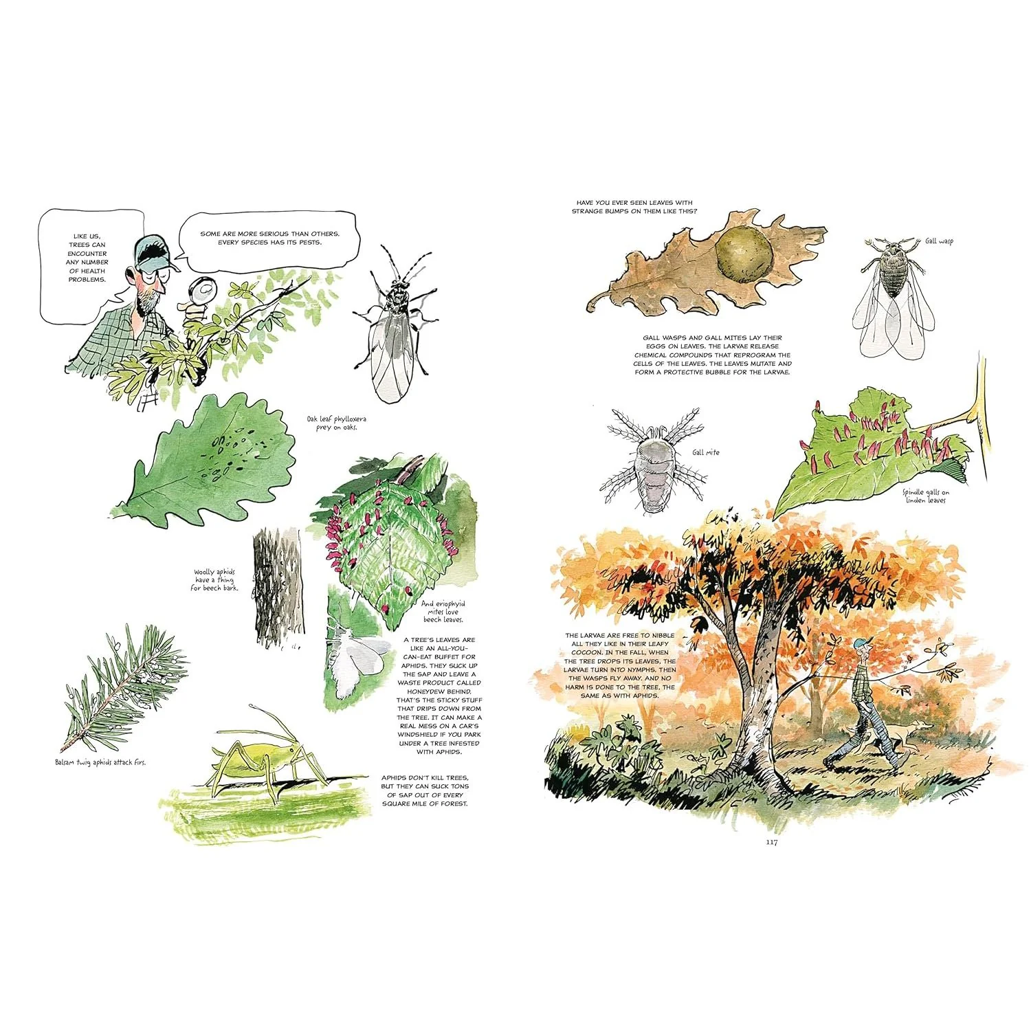 THE HIDDEN LIFE OF TREES: A GRAPHIC ADAPTION BY PETER WOHLLEBEN, FRED BERNARD, & BENJAMIN FLAO - Image 3
