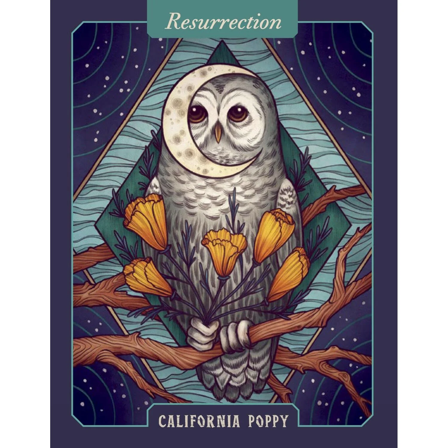THE ILLUSTRATED HERBIARY ORACLE CARDS BY MAIA TOLL - Image 3