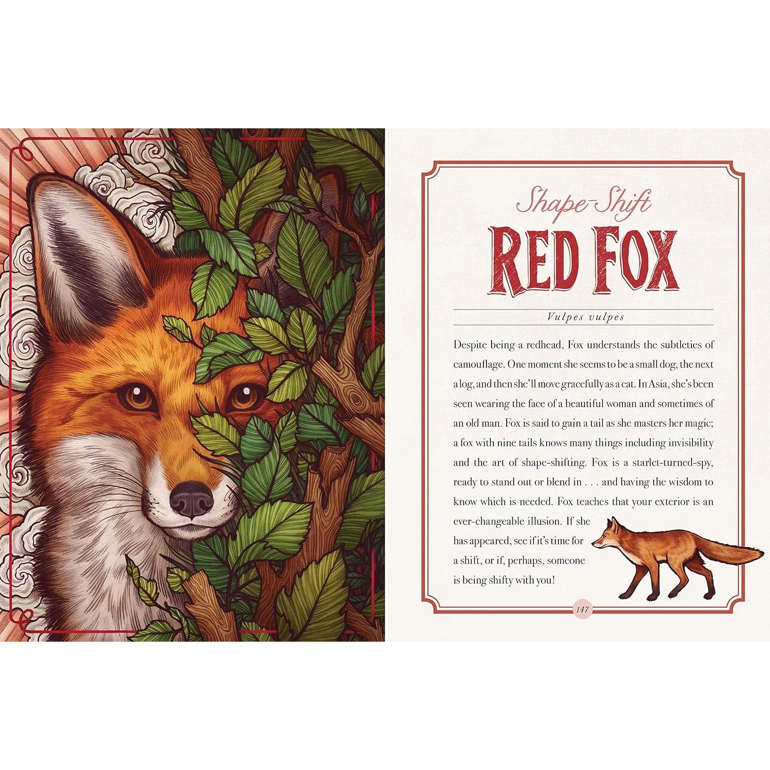 THE ILLUSTRATED BEASTIARY BY MAIA TOLL - Image 5