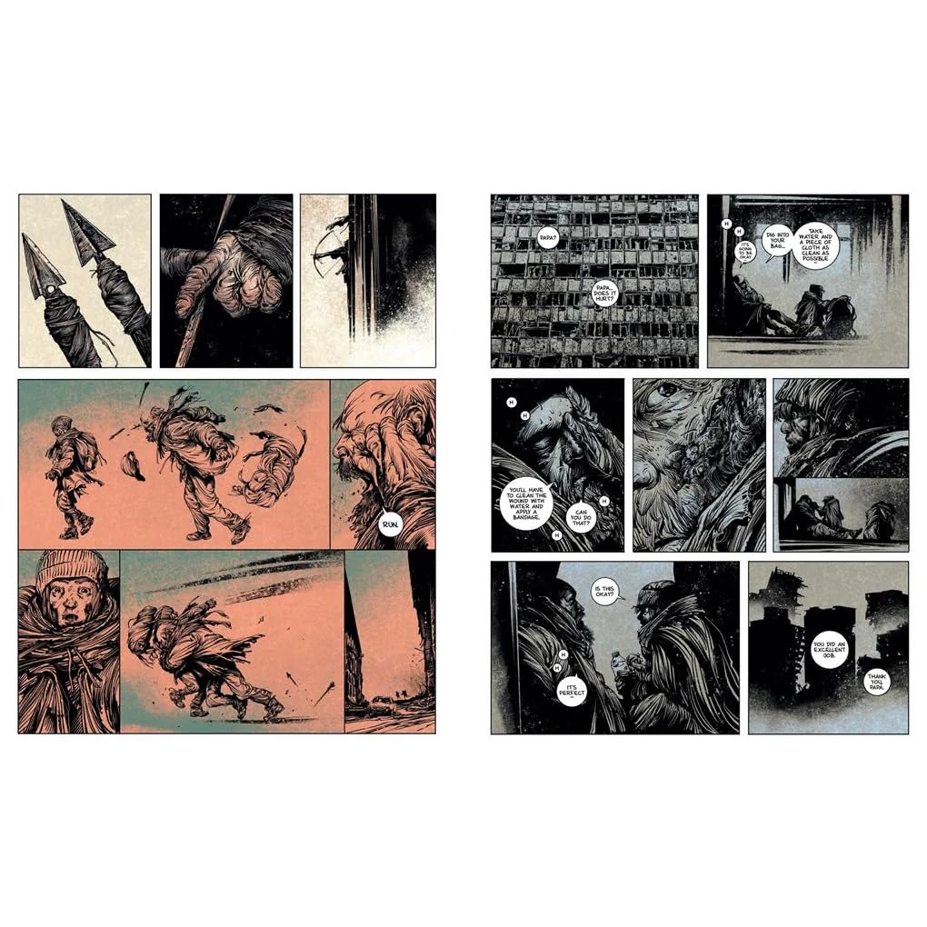 THE ROAD BY CORMAC MCCARTHY (GRAPHIC NOVEL) ADAPTED BY MANU LARCENET - Image 4