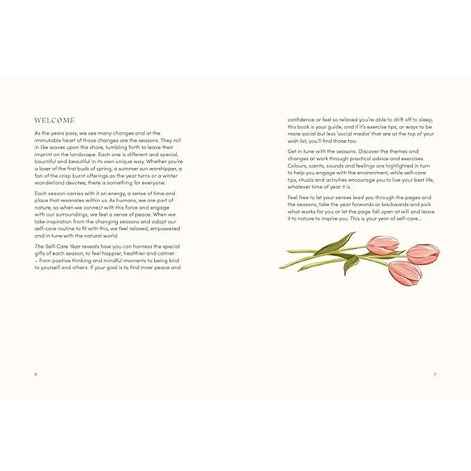 THE SELF-CARE YEAR: REFLECT AND RECHARGE WITH SIMPLE SEASONAL RITUALS BY ALISON DAVIES - Image 3