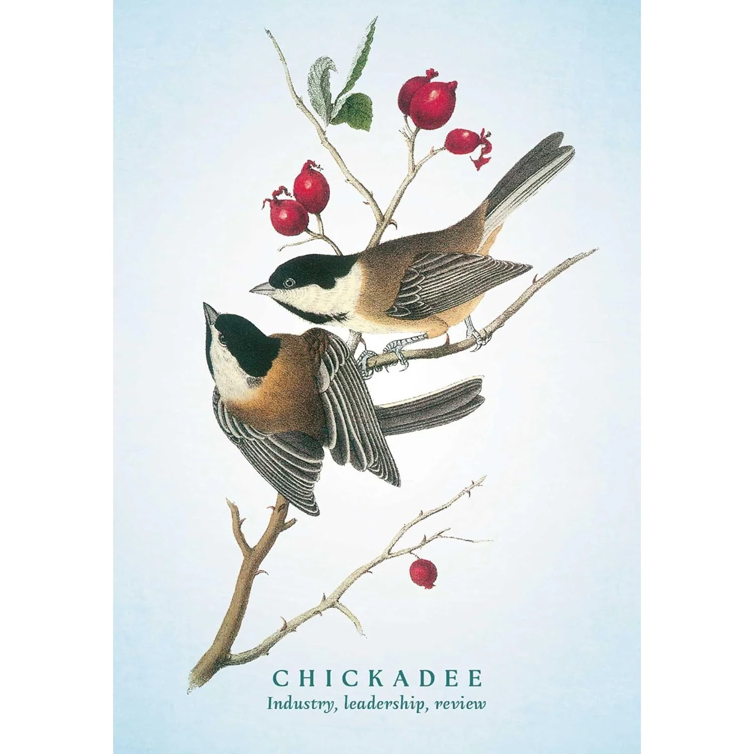 THE SPIRITUAL MEANING OF BIRDS ORACLE DECK - Image 5