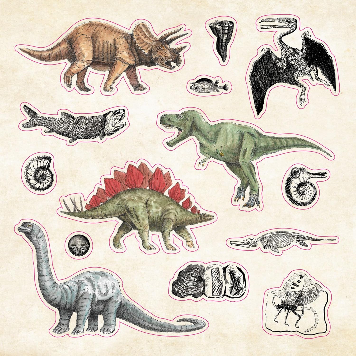THE STICKER BOOK OF CURIOSITIES - Image 4