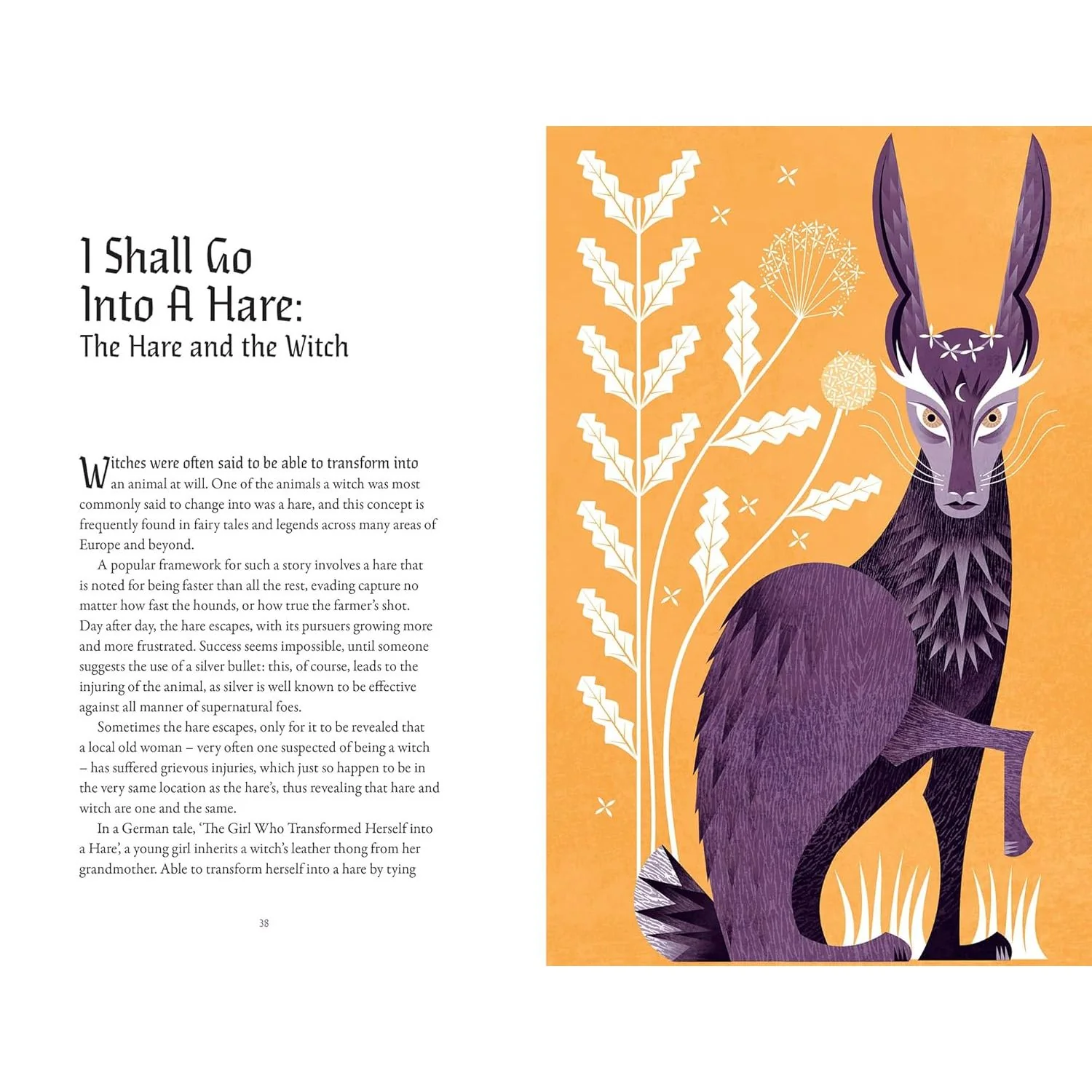 THE STORY OF WITCHES: FOLKLORE, HISTORY, AND SUPERSTITION BY WILLOW WINSHAM - Image 2