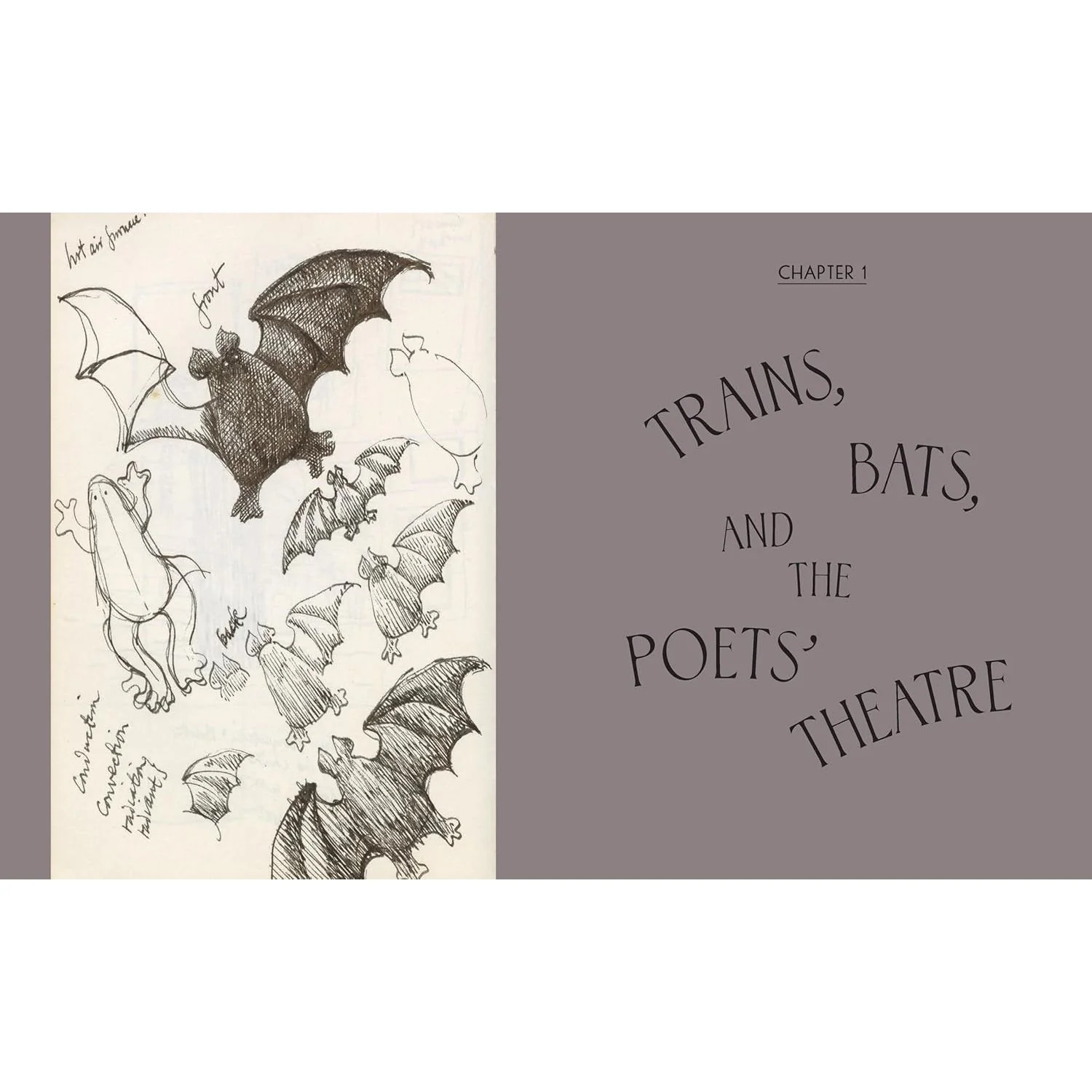 THE THEATRICAL ADVENTURES OF EDWARD GOREY: RARE DRAWINGS, SCRIPTS, AND STORIES BY CAROL VERBURG - Image 4