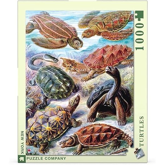 TURTLES 1000PC PUZZLE - Image 2