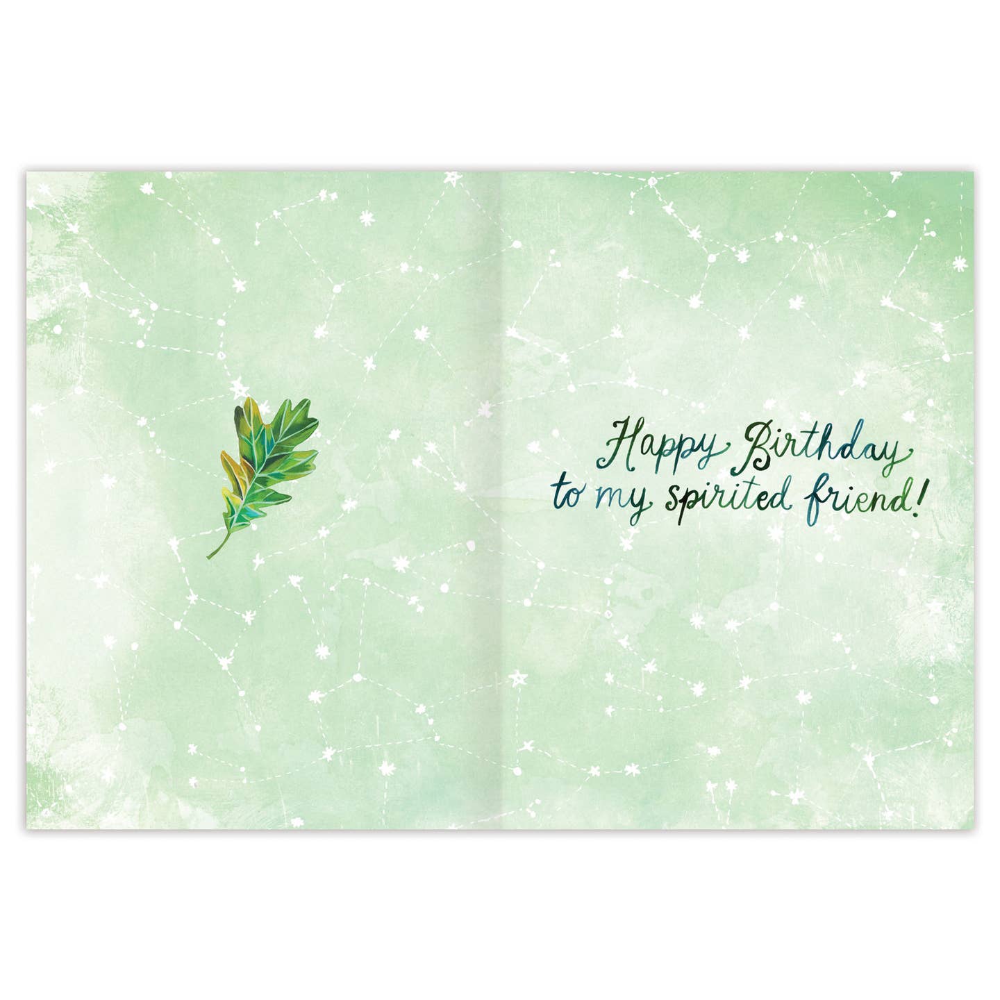 WILD ANIMALS BIRTHDAY CARD - Image 2