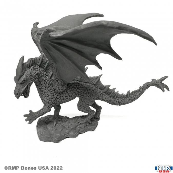 YOUNG ICE DRAGON